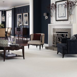White Carpet in Living room | Johnston Paint & Decorating