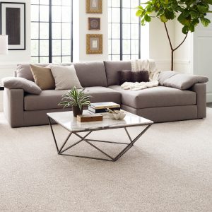 Comfortable carpet | Johnston Paint & Decorating