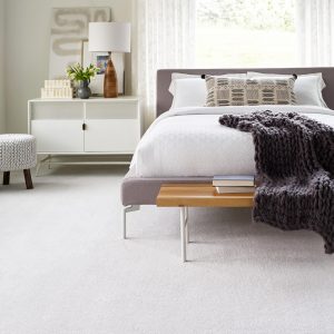 Comfortable carpet | Johnston Paint & Decorating