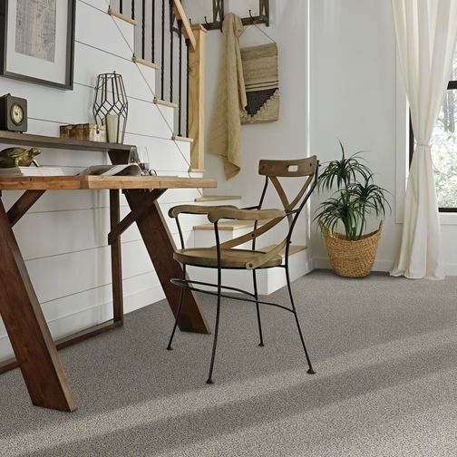 Classic del moro carpet | Johnston Paint & Decorating