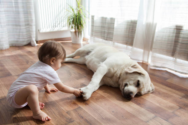 Baby with dog | Johnston Paint & Decorating