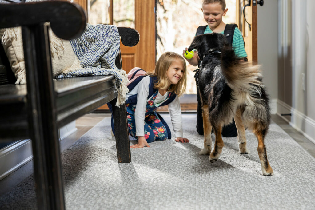 Kids playing with dog | Johnston Paint & Decorating